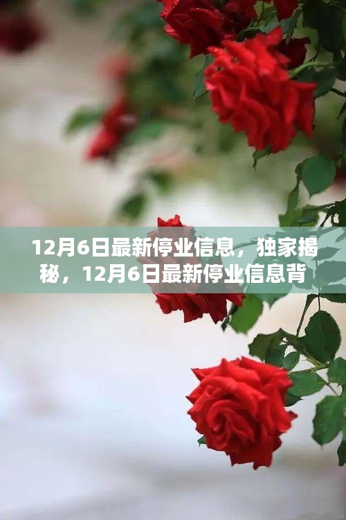 獨(dú)家揭秘，揭秘最新停業(yè)信息背后的商業(yè)動態(tài)與行業(yè)趨勢分析（12月6日更新）
