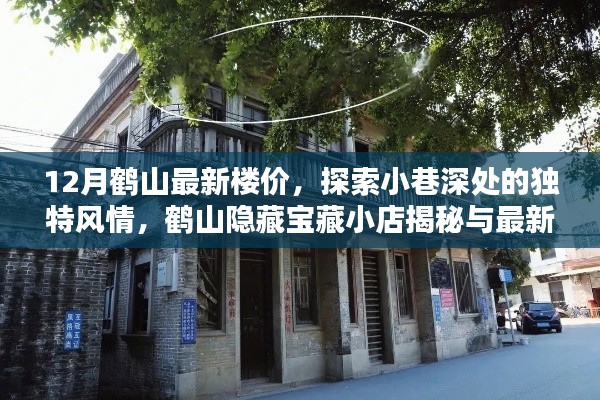 鶴山最新樓價(jià)揭秘與隱藏寶藏小巷風(fēng)情探索及小店揭秘