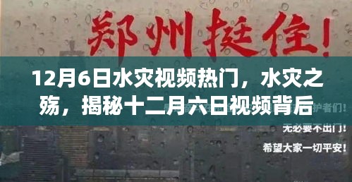 揭秘十二月六日水災視頻背后的故事與傷痛，水災之殤引發(fā)關(guān)注熱議