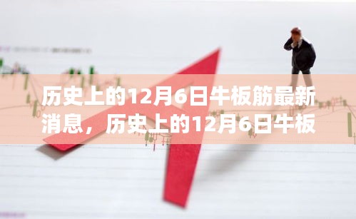 歷史上的12月6日牛板筋最新消息，歷史上的12月6日牛板筋最新消息深度解析，個(gè)人觀點(diǎn)與洞察