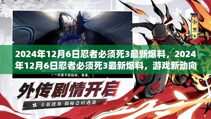忍者必須死3最新爆料，游戲新動向與未來展望（2024年12月6日）