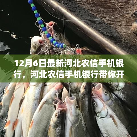 河北農(nóng)信手機(jī)銀行，心靈之旅啟程，探索自然美景與內(nèi)心藝術(shù)之旅