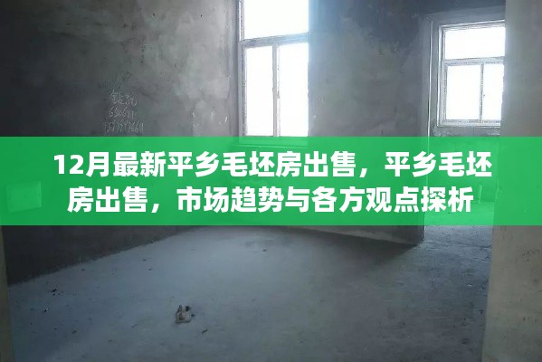 平鄉(xiāng)毛坯房最新出售信息，市場趨勢與多方觀點(diǎn)解析