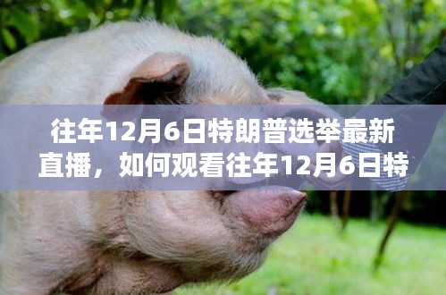 全步驟指南，觀看往年12月6日特朗普選舉最新直播回顧