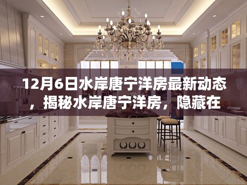 揭秘水岸唐寧洋房，巷弄間的特色小店與最新動態(tài)解析