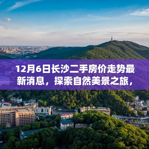 長(zhǎng)沙二手房?jī)r(jià)走勢(shì)最新動(dòng)態(tài)與探索自然美景之旅，寧?kù)o背后的呼喚