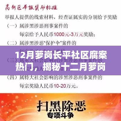 揭秘十二月蘿崗長平社區(qū)腐敗熱點，深度剖析背后的原因與案例，社區(qū)腐案備受關注
