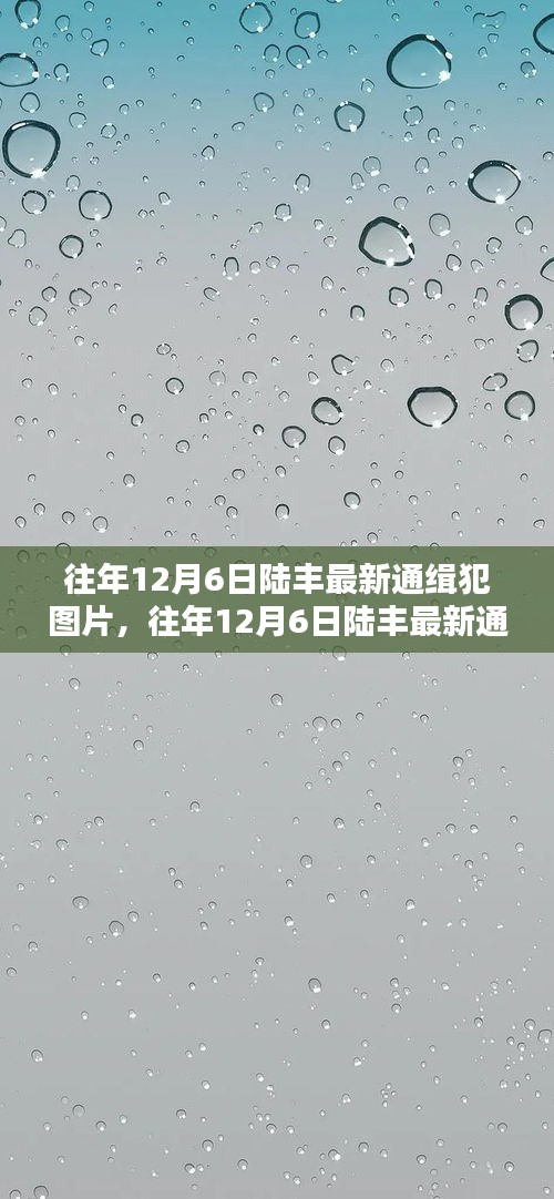往年12月6日陸豐最新通緝犯圖片及案件深度解析