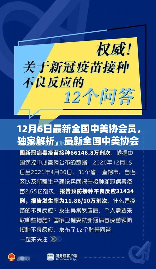 獨家解析，最新全國中美協(xié)會員身份標識解讀與獨家報道