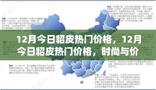 12月貂皮熱門價格，時尚與價值交匯的最新動態(tài)