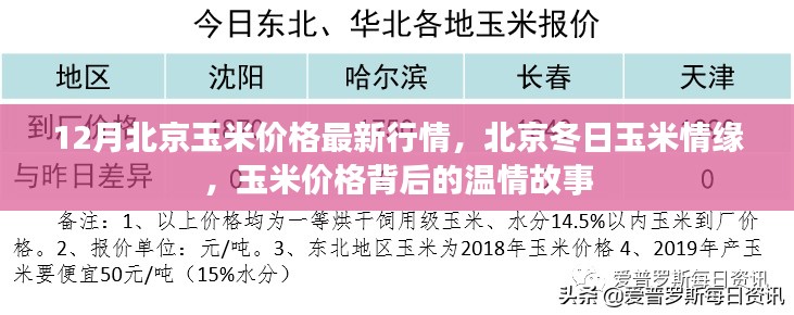 北京冬季玉米行情揭秘，價格背后的溫情故事