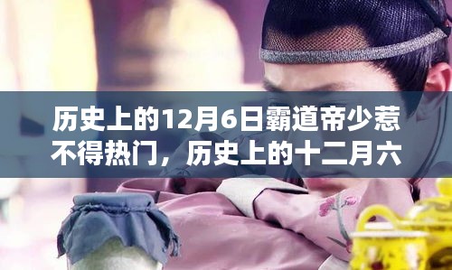 歷史上的12月6日，霸道帝少的挑戰(zhàn)與應(yīng)對策略（初學(xué)者指南）