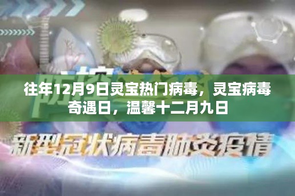 往年12月9日靈寶病毒奇遇記，溫馨之日的獨(dú)特故事