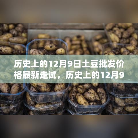 深度解析，歷史上12月9日土豆批發(fā)價(jià)格走勢與市場競爭洞察