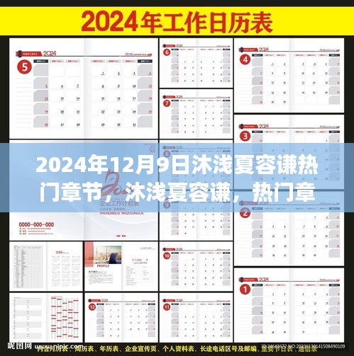 沐淺夏容謙，熱門章節(jié)背后的故事與獨特印記