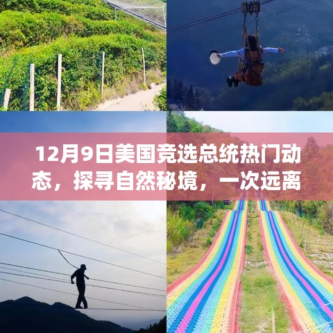 揭秘美國大選背后的綠色希望與探尋自然秘境的心靈之旅