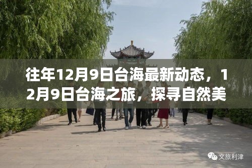 12月9日臺(tái)海之旅，探尋自然美景，重塑心靈平衡之旅
