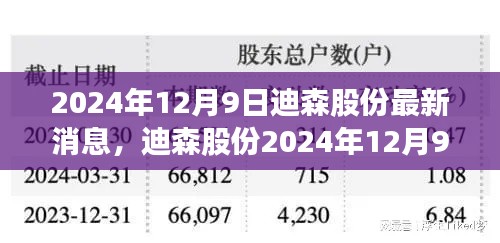 2024年12月9日迪森股份最新消息，迪森股份2024年12月9日最新動態(tài)解析，擴(kuò)張策略與公司前景展望