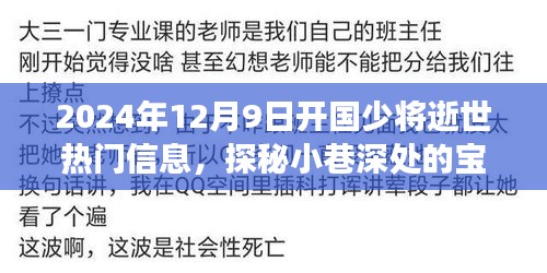 開(kāi)國(guó)少將逝世背后的故事，特色小店探秘與小巷深處的寶藏揭秘