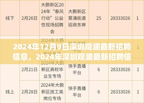 2024年深圳觀瀾最新招聘信息概覽，職場(chǎng)人的新選擇