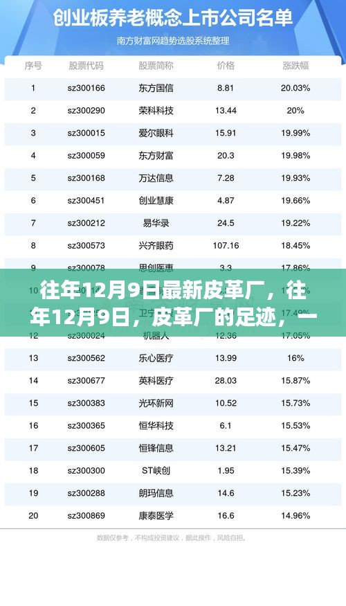 往年12月9日皮革廠足跡，自然美景探索之旅
