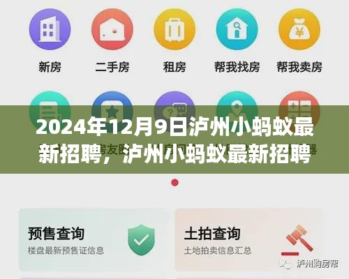 瀘州小螞蟻?zhàn)钚抡衅脯F(xiàn)象觀察與思考，職場(chǎng)趨勢(shì)與啟示（以2024年為例）