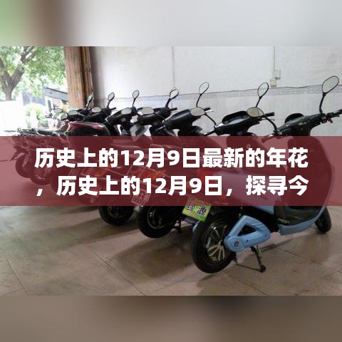 探尋今日年花背后的故事，歷史上的十二月九日紀(jì)念與年花揭秘