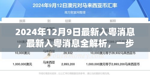 2024年最新入粵消息全解析，掌握必備技能與知識(shí)的步驟