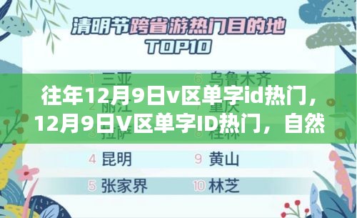 公司簡介 第219頁