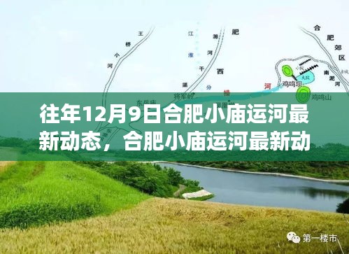 合肥小廟運(yùn)河最新動(dòng)態(tài)揭秘，特性、體驗(yàn)與競爭態(tài)勢的深度解析