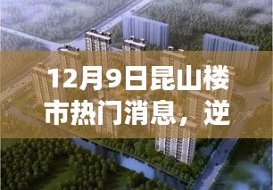 比翼鳥 第3頁
