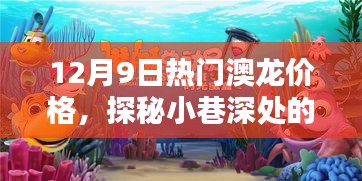 獨(dú)家揭秘，12月9日澳龍價格走勢，探尋小巷深處的海鮮寶藏