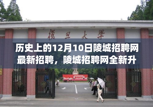 陵城招聘網(wǎng)全新升級，科技引領(lǐng)招聘變革，刷新職業(yè)未來在12月10日開啟