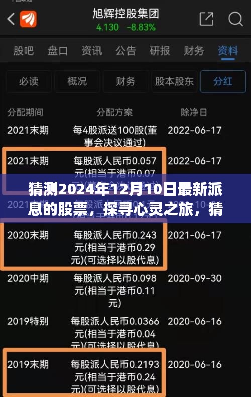 探尋心靈之旅，揭秘2024年最新派息股票引領(lǐng)的投資方向！