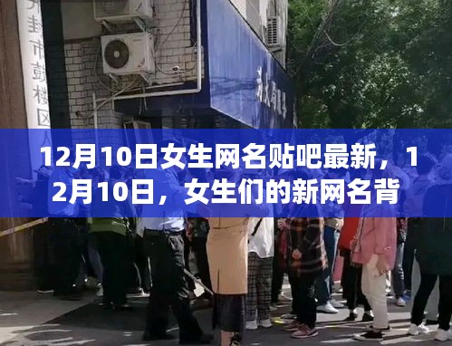 女生新網(wǎng)名背后的自然美景之旅，尋找內心的寧靜與平和（12月最新）