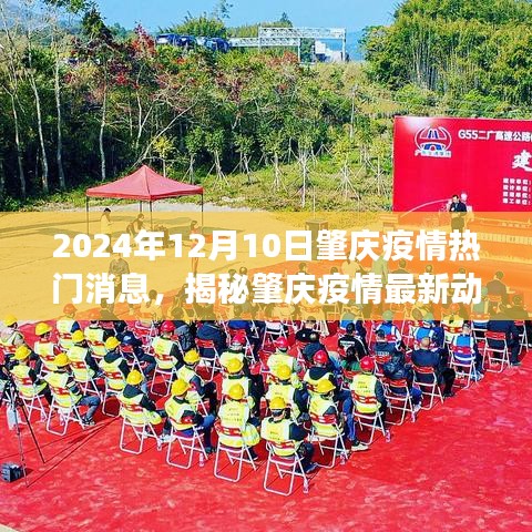 2024年12月10日肇慶疫情最新動(dòng)態(tài)及防控進(jìn)展熱點(diǎn)聚焦