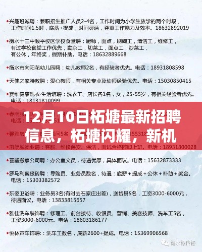 柘塘閃耀新機遇，12月10日最新招聘信息全解析