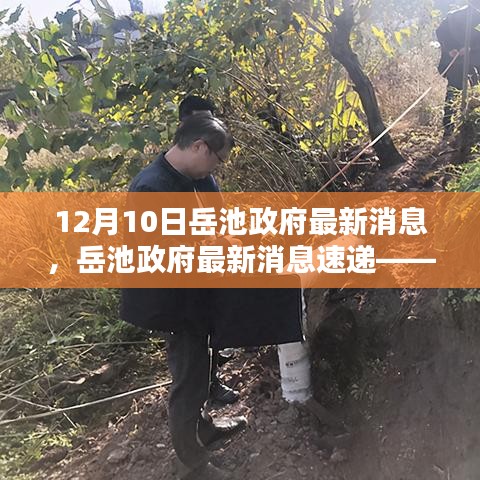 岳池政府最新消息速遞，12月10日要點(diǎn)解析