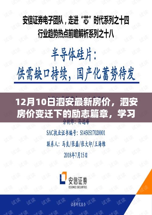 獨學(xué)寡聞 第4頁
