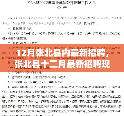 張北縣十二月最新招聘現(xiàn)象下的多元觀點(diǎn)探析與招聘動(dòng)態(tài)分析
