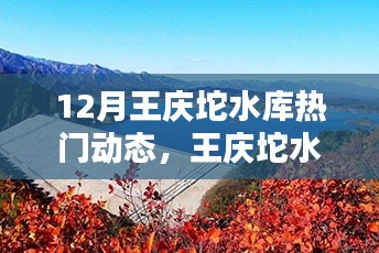王慶坨水庫智能管理系統(tǒng)引領科技生活新潮流，十二月熱門動態(tài)與新寵上線