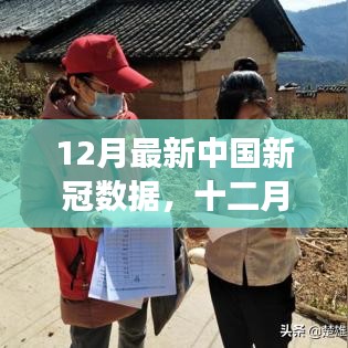 中國十二月新冠數(shù)據(jù)概覽，背景、進(jìn)展與影響分析