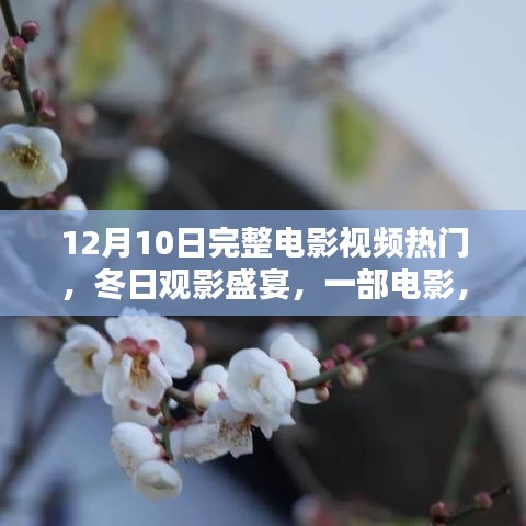 冬日觀影盛宴，電影中的溫情與摯友的陪伴時刻