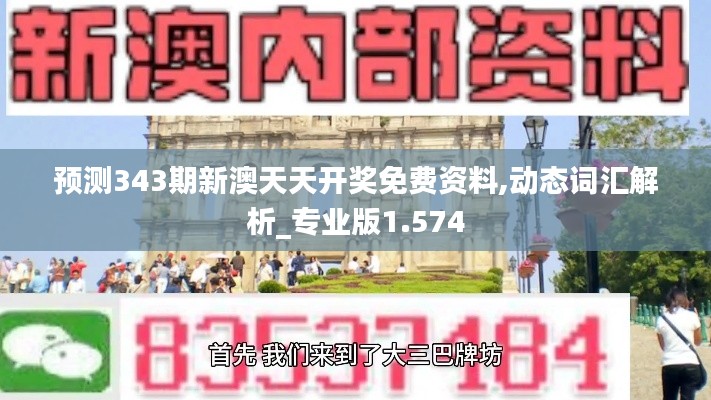 預測343期新澳天天開獎免費資料,動態(tài)詞匯解析_專業(yè)版1.574