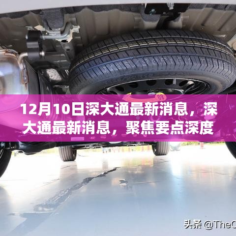 深大通最新動態(tài)聚焦，深度解析要點（12月10日版）