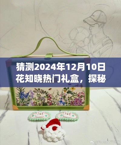 探秘花知曉2024年驚喜禮盒，小巷深處的獨特禮盒猜想之旅