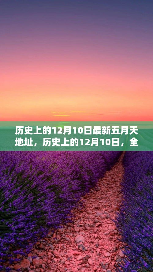 歷史上的12月10日與全新五月天地址深度測評揭秘