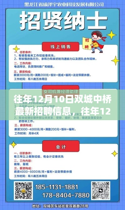雙城最新招聘資訊，往年12月10日中橋招聘信息匯總與解讀