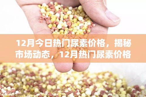 揭秘市場動態(tài)，12月熱門尿素價格走勢分析與預(yù)測