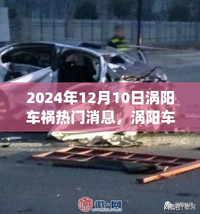 2024年渦陽車禍事件深度解析，聚焦事故爭議與最新消息